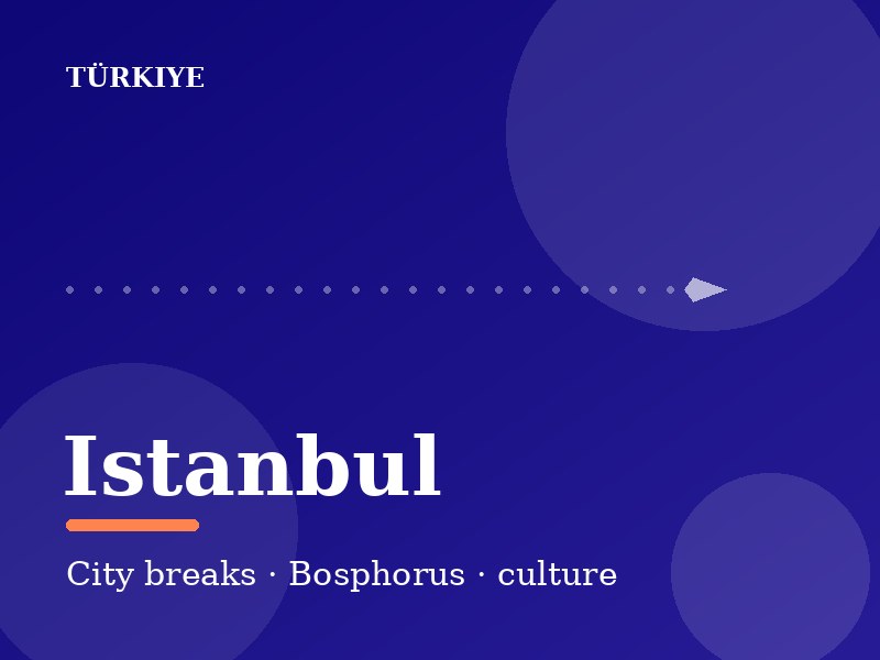 Istanbul historic skyline